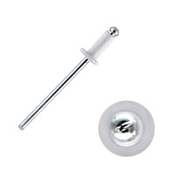 Заклепка DAXMER 4,0*10 белый RAL 9003 ал/ст