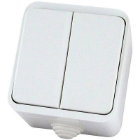 Орель выкл. ОУ 2 кл. 10А бел. (IP44) TDM